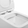 Унитаз подвесной Aquanet Rimless Tavr BL-103N-WHT безободковый